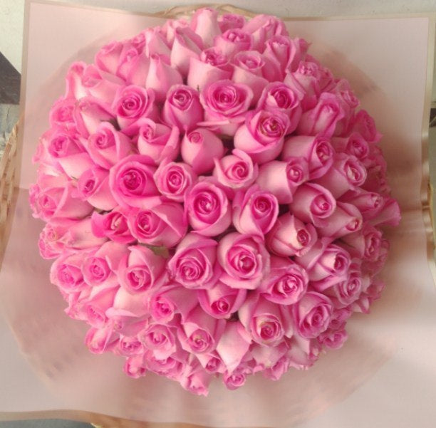 Pale Pink Roses